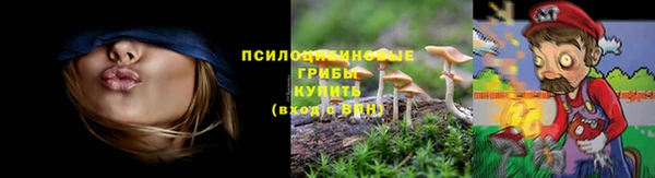 прущие крисы Аркадак